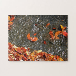 Puzzle Feuilles d'automne dans la cascade I Photographie 