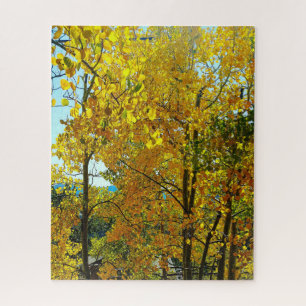 Puzzle Feuilles d'automne des arbres d'Aspen