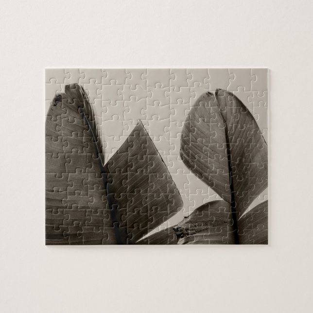 Puzzle Feuilles de bananiers à Sepia (Horizontal)