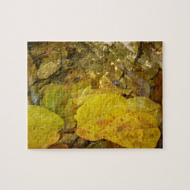 Puzzle Feuilles de bouleau jaune dans le ruisseau (Horizontal)