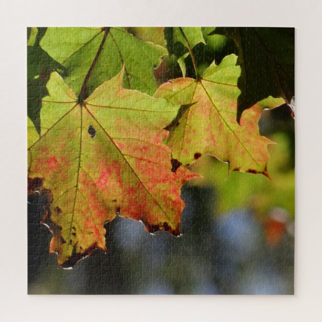 Puzzle Feuilles de chute colorées (Vertical)