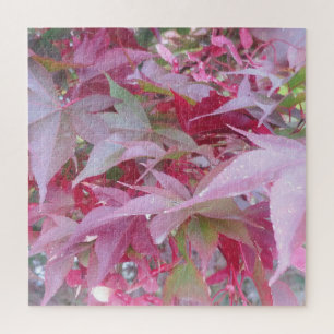 Puzzle Feuilles De Chute Rose Et Sage