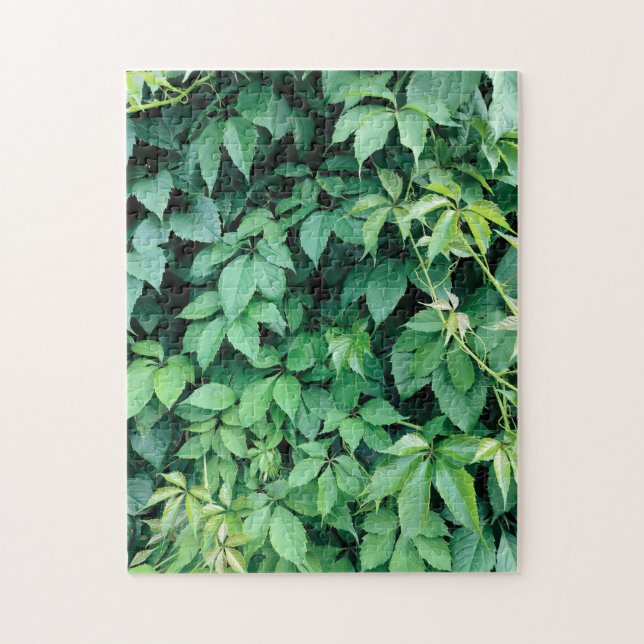 Puzzle Feuilles de raisins verts (Vertical)