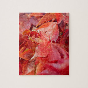 Puzzle Feuilles d'érable rouges d'automne