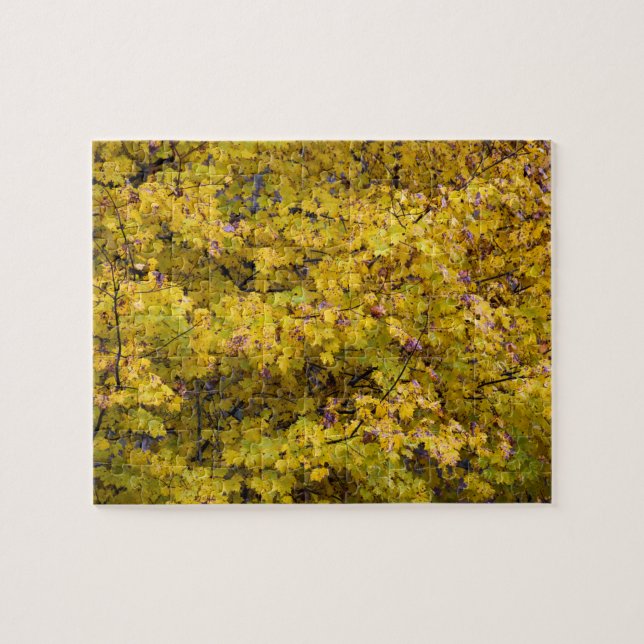 Puzzle Feuilles d'or de l'automne - 8x10 pouces (Horizontal)