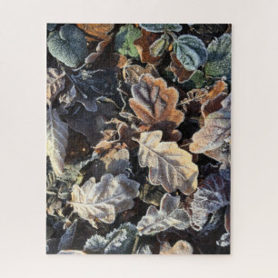 Puzzle Feuilles givrés