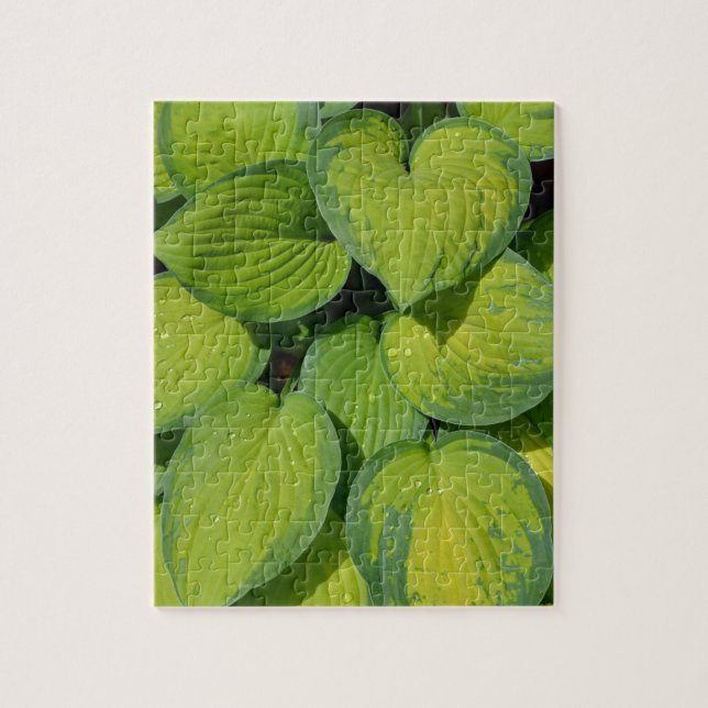 Puzzle Feuilles plantes de printemps vert (Vertical)
