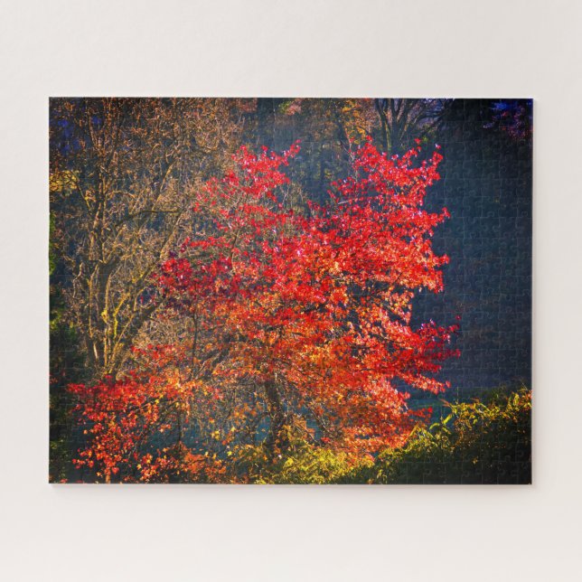 Puzzle Feuilles rouges (Horizontal)