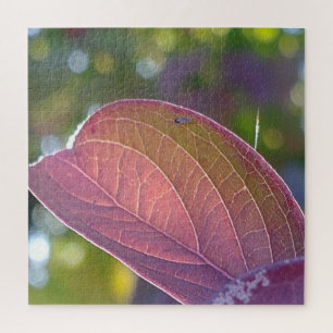 Puzzle Feuilles Rouges Et Bokeh