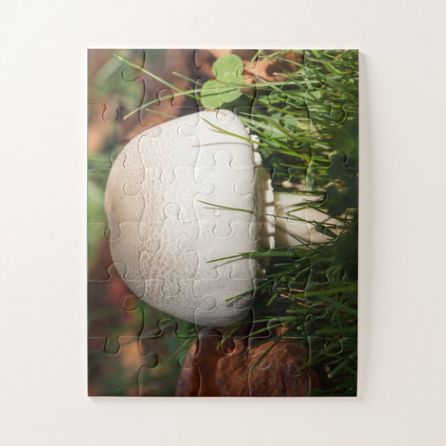 Puzzle Field mushroom in a forest (Vertical)