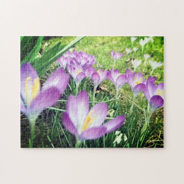 Puzzle Field of Purple Spring Flowers Crocus Flower Lilac (Horizontal)
