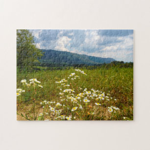 Puzzle Fields of Daisies Tennessee.