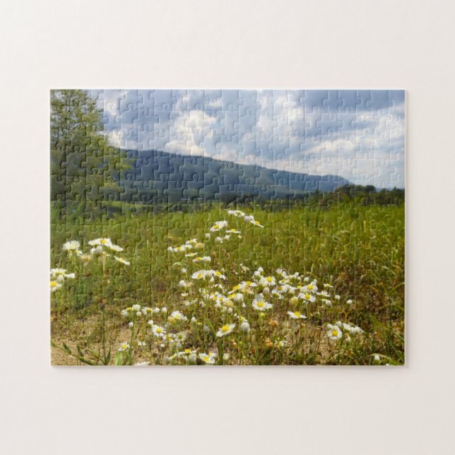 Puzzle Fields of Daisies Tennessee. (Horizontal)