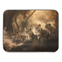 Fierté de Lion reposant à l'ombre Acrylique