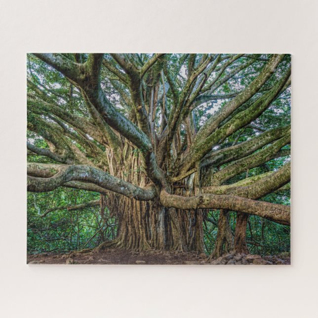 Puzzle Figue de Banyer Incroyable (Horizontal)
