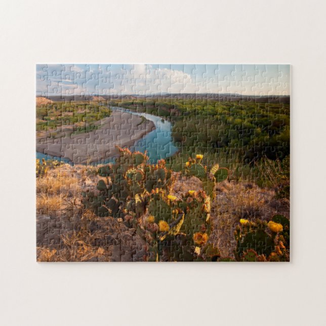 Puzzle Figue de Barbarie (Opuntia Sp.) (Horizontal)