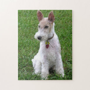 Puzzle fil fox terrier assis