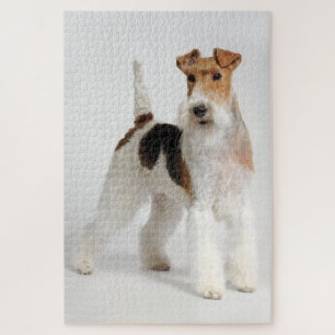 Puzzle Fil Fox Terrier Chien Photo