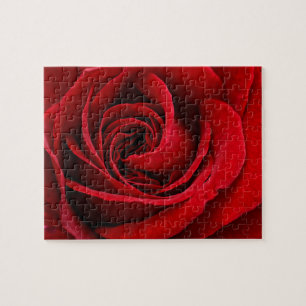 Puzzle Fin lumineuse de rose rouge