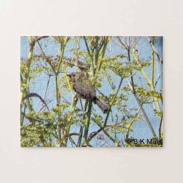 Puzzle - Finch assis dans les branches (Horizontal)
