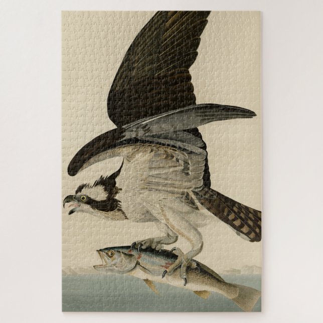 Puzzle Fish Hawk, Osprey, from Audubon's Birds of America (Vertical)