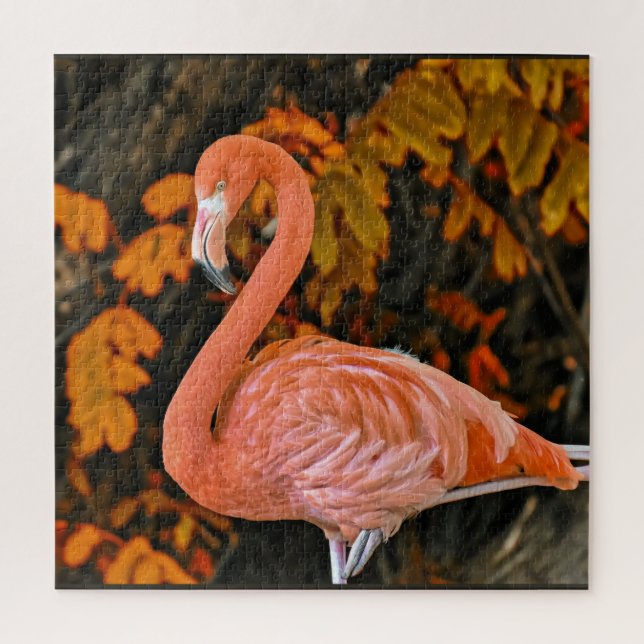Puzzle Flamant, de près et magnifique (Vertical)