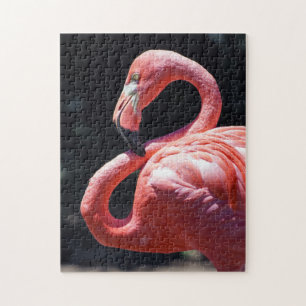 Puzzle Flamant rose