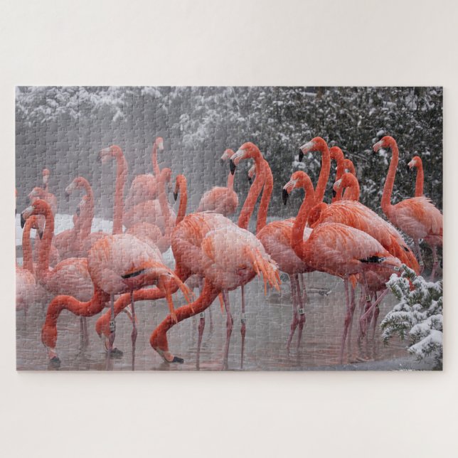 Puzzle Flamant rose américain (Horizontal)