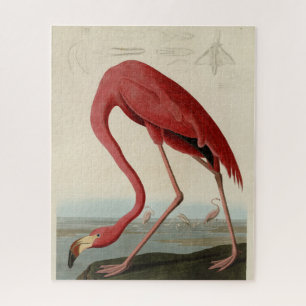 Puzzle Flamant rose américain d'Audubon's Birds of Americ