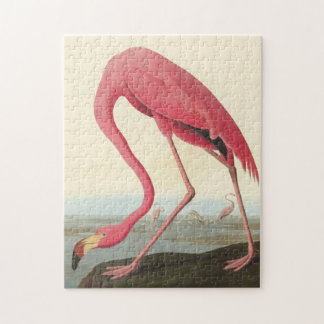 Puzzle Flamant rose américain ~ John James Audubon 11 x 1