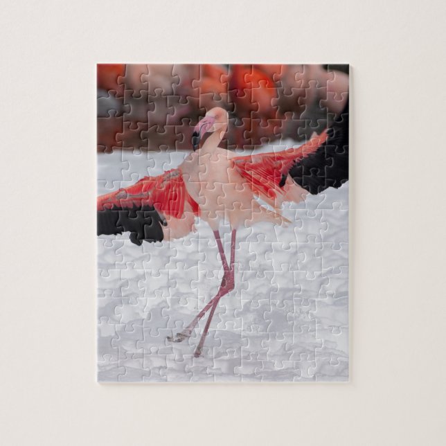 Puzzle Flamant rose amusant dansant le flamenco (Vertical)