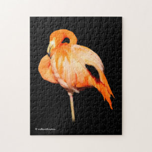 Puzzle Flamant rose au soleil d'été