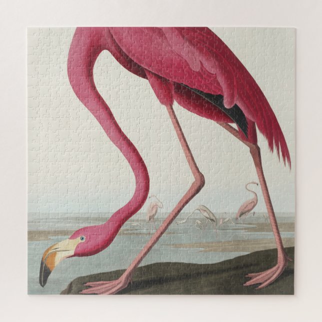 Puzzle Flamant rose de Birds of America (Vertical)
