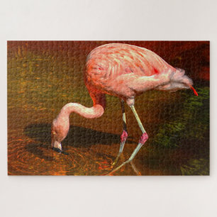 Puzzle Flamant rose de Floride.