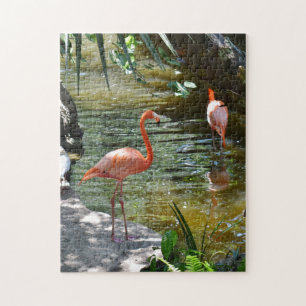 Puzzle Flamant rose rose