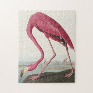 Puzzle Flamant rose rose des oiseaux d'Amérique