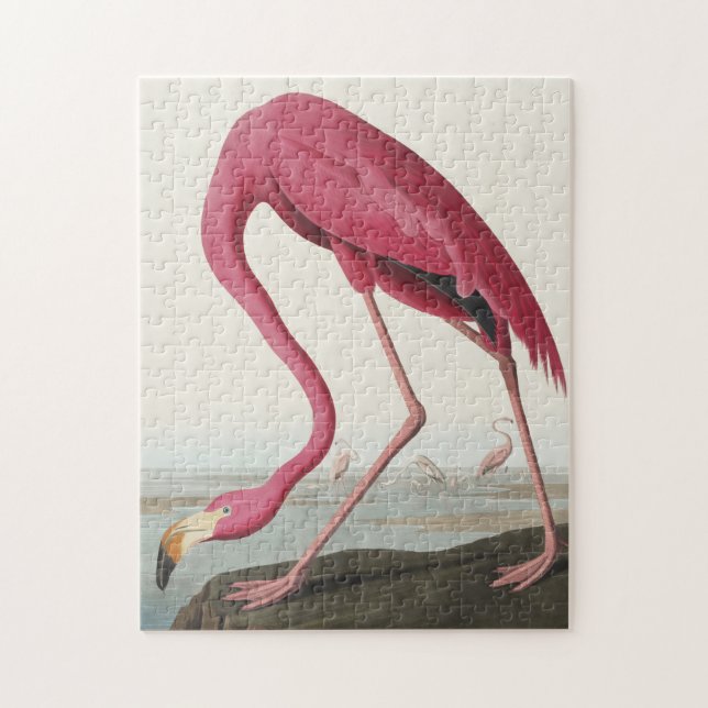 Puzzle Flamant rose rose des oiseaux d'Amérique (Vertical)