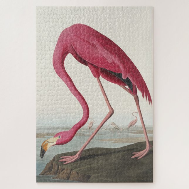 Puzzle Flamant rose rose des oiseaux d'Amérique (Vertical)
