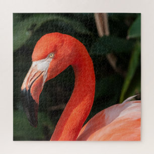 Puzzle Flamant rose rose vif