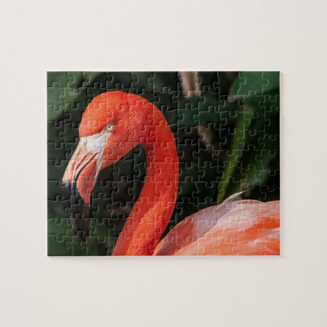 Puzzle Flamant rose rose vif (Horizontal)