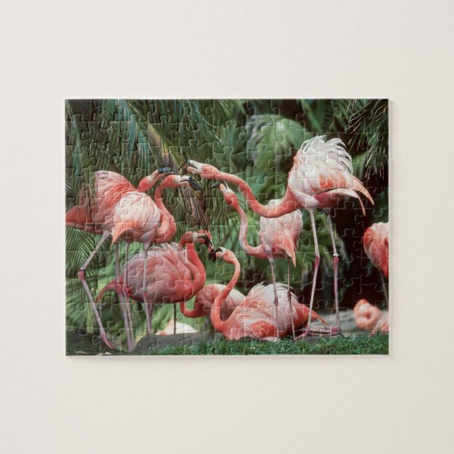 Puzzle Flamants roses (Horizontal)