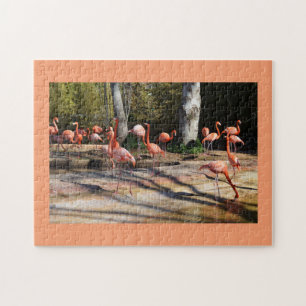 Puzzle Flamants roses