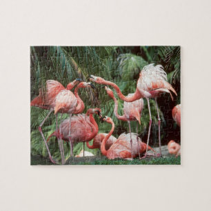 Puzzle Flamants roses roses tropicaux Famille Calme Amusa