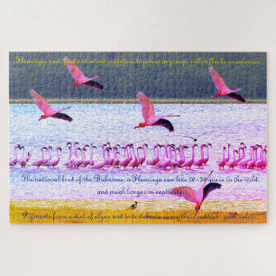 Puzzle Flamingo Fun  20"x30" -  1 014 pièces