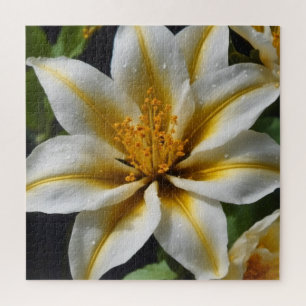 Puzzle Fleur blanche aux accents jaunes