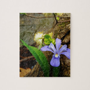 Puzzle Fleur blanche pourpre bleu Iris