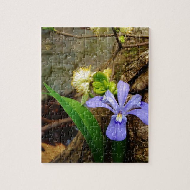 Puzzle Fleur blanche pourpre bleu Iris (Vertical)