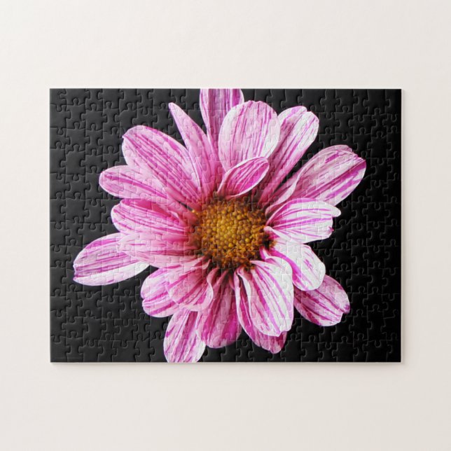 Puzzle Fleur Chrysanthemum 11x14 252pc jpcnm (Horizontal)