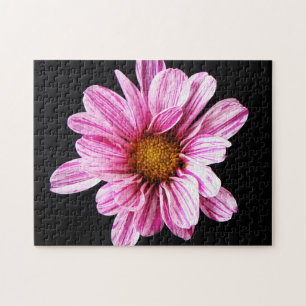 Puzzle Fleur Chrysanthemum 11x14 jpcna 252pc