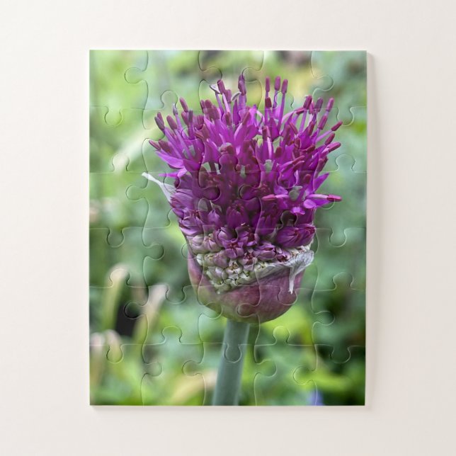 Puzzle Fleur d'Allium | Fleur botanique Purple Bloom of M (Vertical)